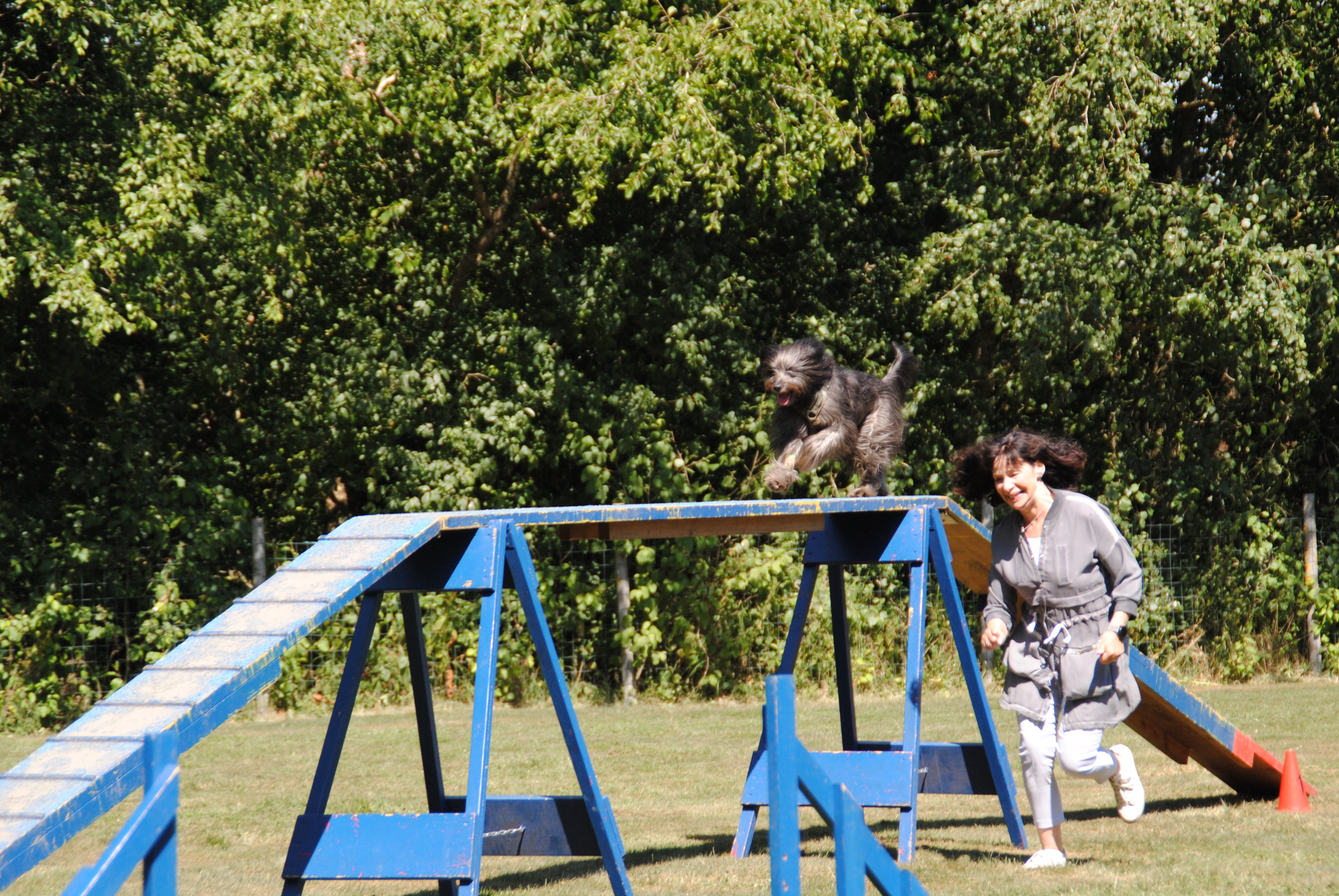 Agility Team Eifel – Training